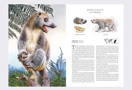Information and translations of extinct in the most comprehensive dictionary definitions resource on the web. B4u Publishing Albatros Media Atlas Of Extinct Animals