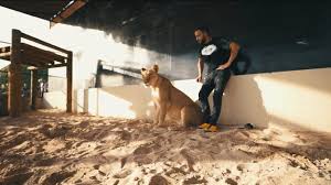 Le footballeur memphis depay vient de publier sur instagram plusieurs photos de lui dans un appartement, avec un jeune. Trafic De Fauves Derriere Les Selfies Sur Les Reseaux Sociaux Un Business Juteux Et Dangereux