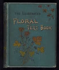 While white flowers represent innocence and purity in the american culture, they are the opposite in the chinese culture. Language Of Flowers 19th Century Literary Genre Offered Opportunities For Women Writers Of Natural History Biodiversity Heritage Library