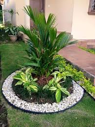 Ideas Para Jardines Pequea Os Con Piedra Jardines Jardines Tropicales Jardineria