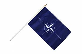 We will reply to you asap. Stockflagge Nato Gunstig Kaufen Flaggenfritze De