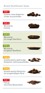 Stuhlgang Farbe Form Konsistenz Syxyl