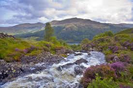 2,308 likes · 1 talking about this. Dumfries Dumfries And Galloway Galloway Scotland Dumfries Scotland