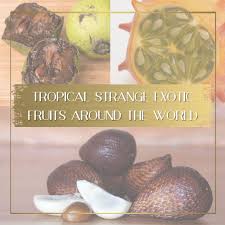 Produces mutant fruit that have long finger shaped segments that resemble a hand. Tropical Strange And Exotic Fruits You Ve Never Seen Before Once In A Lifetime Journey