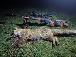 Brock & Norris Custom...