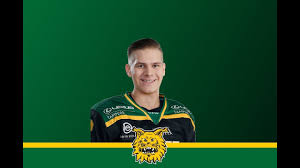 Arttu ruotsalainen makes following the buffalo sabres' prospects overseas exciting — especially to many, arttu ruotsalainen is just a 5'8 forward that garners a lot of interest in the liiga, but is too. Arttu Ruotsalainen Dobberprospects