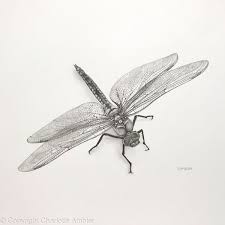 Pin On Original Artwork By Charlotte Ambler