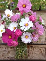 Image Result For Cosmos Flower Bouquet Cosmos Wedding Flowers Flower Arrangements Wedding Flowers