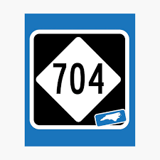 Check spelling or type a new query. North Carolina State Route 704 Area Code 704 Poster By Srnac Redbubble