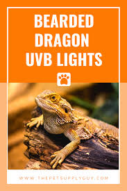 Pin On Reptile Supplies Reptile Care Guides