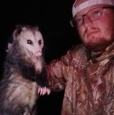 Where to find shad for fishing bait?