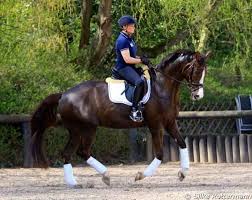 The pony club is an international voluntary youth organisation for young people interested in ponies and riding. Hanne Brenner On The Evolution Of Para Dressage The Past Two Decades