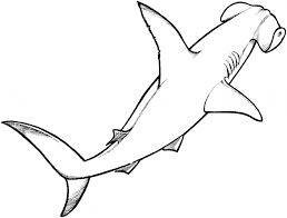 If your child loves interacting. Drawing Shark 14798 Animals Printable Coloring Pages