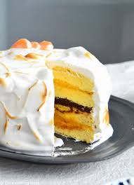 Outrageous Chocolate Mandarin Meringue Cake Recipe Meringue Cake Dessert Recipes Recipes