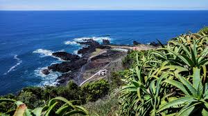 Image result for Ferraria