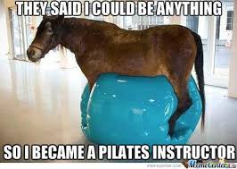 18 best funny horse pictures of all time. 18 Best Funny Horse Pictures Of All Time