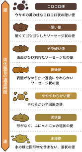 女性 人 モデル ファッション 肖像画 髪 子供 顔 若いです 女の子. ã©ã†ã—ã¦è…¸ã¯å¤§åˆ‡ãªã® ä¾¿ã‹ã‚‰çŸ¥ã‚‹ç·¨