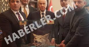 Mhp Lideri Devlet Bahceli Ye Dogum Gununde Doldurulmus Kurt Hediye Edildi Dailymotion Video
