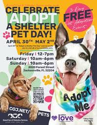 Maybe you would like to learn more about one of these? Coj Net Free Pet Adoptions At Acps This Weekend