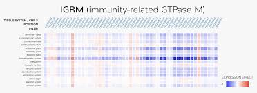 Ai Accurately Predicts Effects Of Genetic Mutations In