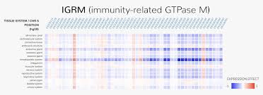 Ai Accurately Predicts Effects Of Genetic Mutations In