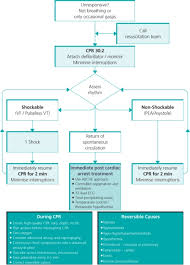 Image result for Ventricular Fibrillation Management in the Adult