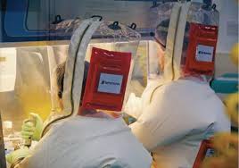 Ces Chercheurs Bibendums Qui Etudient Les Virus
