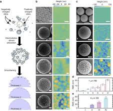 The amount of material adsorbed within a bed depends both on position and time. Universal Emulsion Stabilization From The Arrested Adsorption Of Rough Particles At Liquid Liquid Interfaces Nature Communications