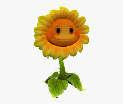 For other uses, see sunflower (disambiguation). Download Zip Archive Plants Vs Zombies Gw2 Sunflower Hd Png Download Transparent Png Image Pngitem