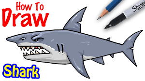 Maybe you would like to learn more about one of these? How To Draw Shark