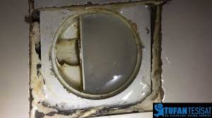 Banyo giderinden kötü koku bazen çamaşır makinesi gider hortumundan gelebilir. Tuvalet Ve Banyo Pis Kokuyor
