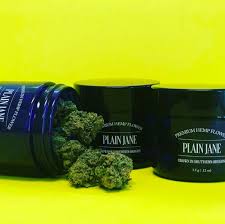 These cannabinoids act on the endocannabinoid system (ecs) found in humans and all mammals. Deep Dives An Honest Plain Jane Cbd Review Cannabis Copywriter