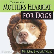 Free animal sound effects for media productions. Calming Mothers Heartbeat For Dogs Mimicked By Clock Ticking Album By The Kokorebee Sun Spotify