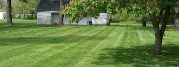 Lawn love connects you with a omaha lawn care provider based on the services you 325 new customers have streamlined their lawn care in omaha by using lawn love. Evergreen Lawn Care In Omaha Il Best Lawn Care Services