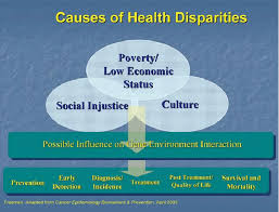 Photo of african american male. Discovery Delivery Disconnect Figure 2 Causes Of Health Disparities Download Scientific Diagram