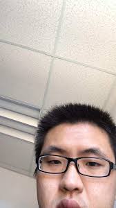 Low-Rank and Joint Sparse Representations for Multi-modal Recognition