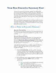 40 Executive Summary Sample For Proposal Desalas Template Executive Summary Template Executive Summary Example Executive Summary