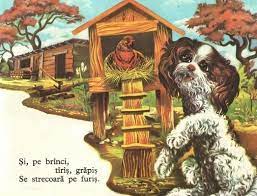 Adolf pare exact catelusul pentru care sa renunti la vechea consola pe care nu o mai folosesti. CÄƒÈ›eluÈ™ Cu PÄƒrul CreÈ› LasÄƒ RaÈ›a In CoteÈ› Semnebune