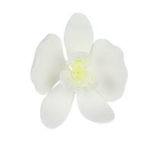 Flower sugarcraft silicone mould gumpaste fondant mold cake decorating tools. White Malaysian Phalaenopsis Orchid Gumpaste Flowers Set Of 3 Gumpaste Flowers Bakedeco Com