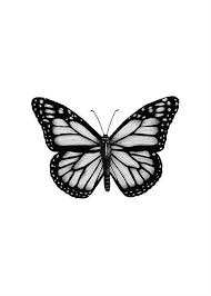 Black Blue And White Butterfly Meaning Monarch Butterfly Black And White Monarch Butterfly Black White Monarchfal Black Butterfl In 2020 Butterfly Tattoo Designs Butterfly Drawing Butterfly Tattoo