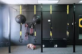 Dawgpoundkc In Blue Springs Mo Vagaro In 2020 Studio Decor Blue Springs Locker Storage