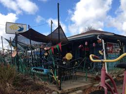 Currently serving tacos y tequila with in va, nc & sc. Krazy Fish Walgreens Enter Property Battle Goqnotes Com