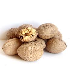 Miezul de nuca se consuma proaspat sau usor prajit, sarat sau dulce. 5 Pasi Pentru A Face Profitabila Productia Unei Livezi De Nuci Pepiniera VoineÈ™ti