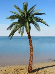 Outdoor Artificial Caribbean Palm Trees