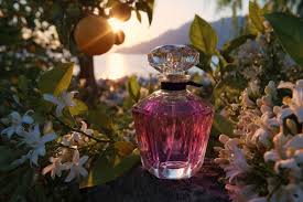 Intriguing Valeria Castañeda Onlyfans view