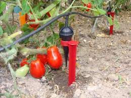 Don't make a expensive mistake, get the straight facts. Arrosage Goutte A Goutte Guide Arrosage Et Pompage