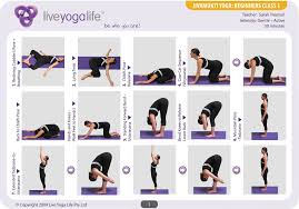 hatha yoga for beginners plete set