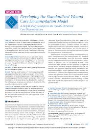 Pdf Developing The Standardized Wound Care Documentation