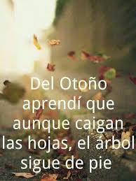 Imagen Relacionada Frases Sabias Citas Sobre Amigos Frases Bonitas