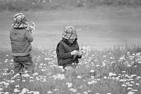 Pick your own flowers at parlee farms to create a perfect arrangement that we will wrap for you to take home or to give as a gift. Free Photo Pick Flowers Activity Field Flower Free Download Jooinn